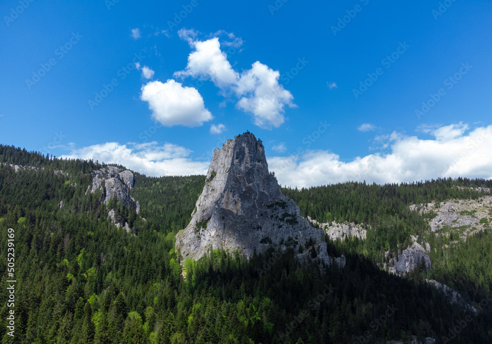 Landscape with the Piatra Altarului Peak from the Bicaz Gorges Park Landscape with the Piatra Altarului Peak from the Bicaz Gorges Park