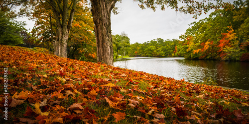 Vibrant colorful autumn leaves on the curved hill near a lake in New Haven Connecticut
