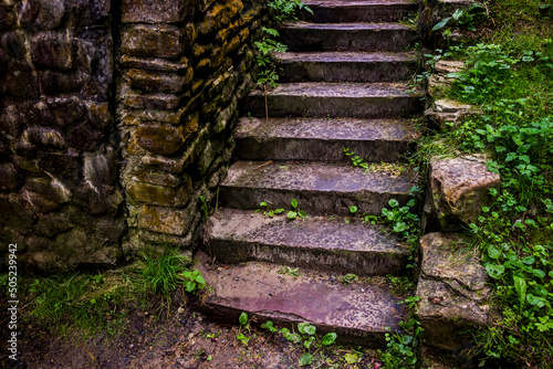 old stone ladders in the forest