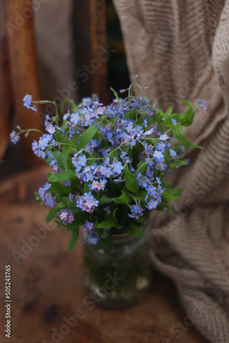 Vintage still life of forget me not plants. Spring blossom background. Closeup, low key