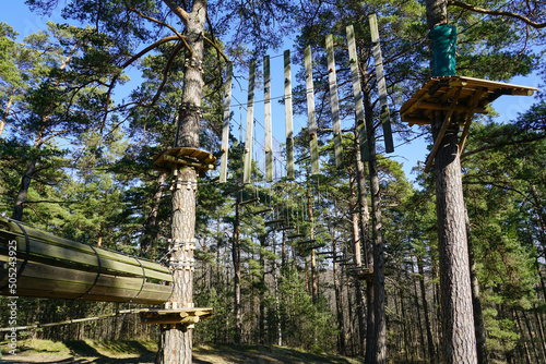 High rope bridge in a pine forest, part of a ropes course photo