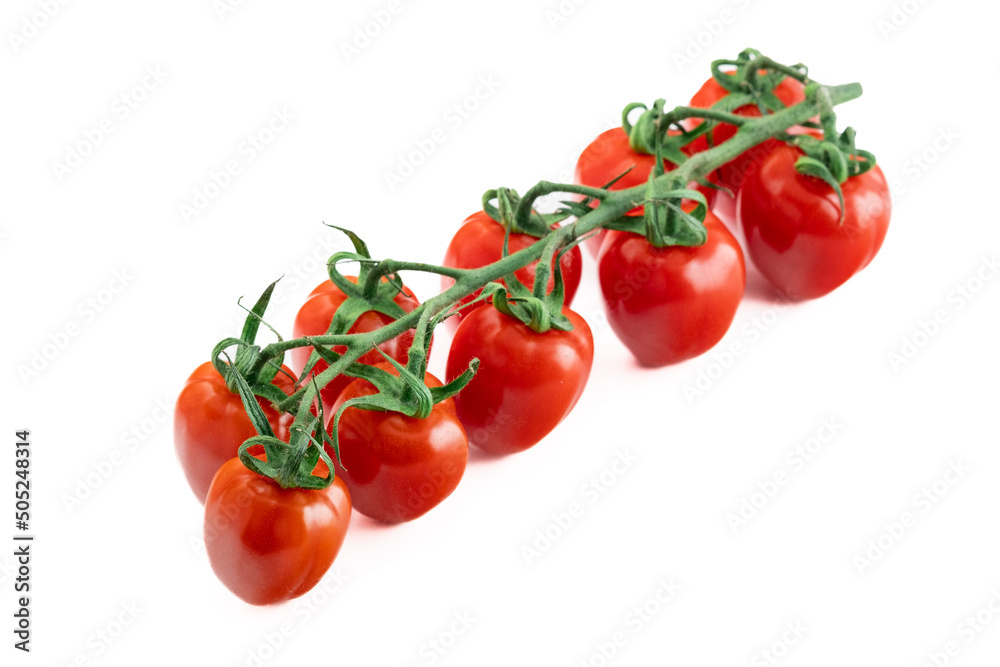 Fresh cherry tomatoes branch isolated on white background, soft focus Fresh cherry tomatoes branch isolated on white background, soft focus