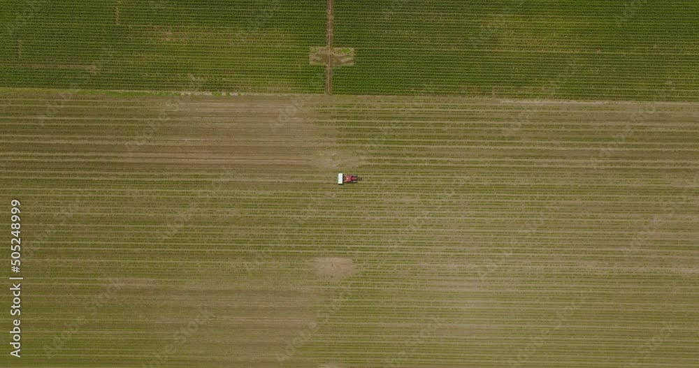 Tractor spreading fertilizer over a large Corn field, Aerial follow footage. Tractor spreading fertilizer over a large Corn field, Aerial follow footage.