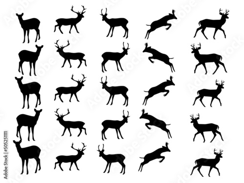 Deer vector illustration design.Deer Vector Image.Deer Vector Art, Icons, and Graphic
