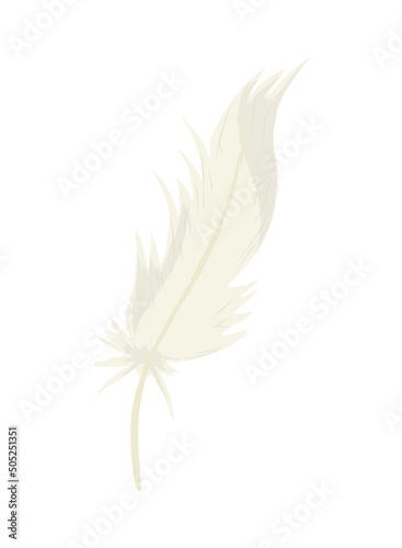 white feather icon