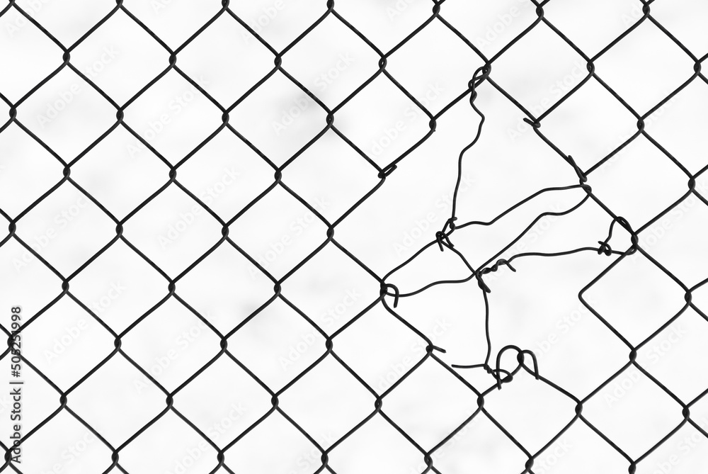 Fototapeta premium chain-link mesh, the photo shows a torn metal mesh on a white background