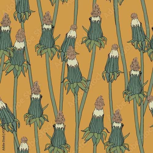 Pattern with unopened dandelion. New born flowers vintage illustration