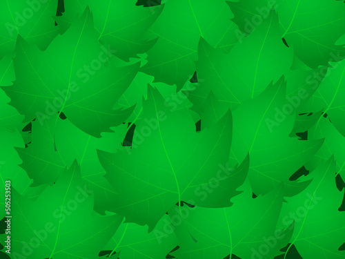 Green maple leaves pattern. Realistic maple leafs on green vector background.