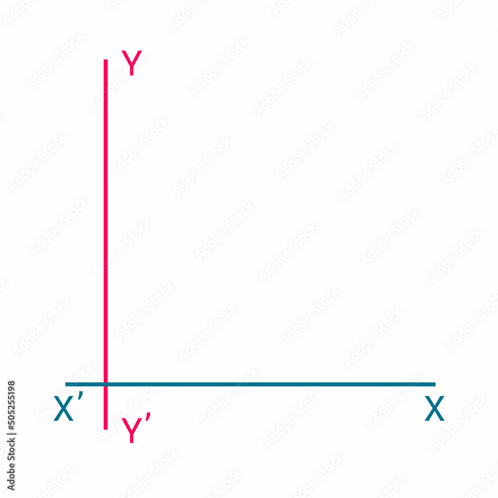 Horizontal and vertical axis in mathematics Stock Vector Adobe Stock