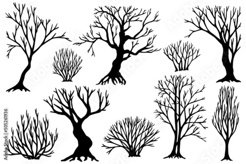 Set of silhouettes of bare trees, bushes.Vector graphics.
