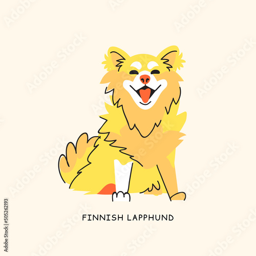 Fiinnish lapphund vector sitting dog isolated on beige background. Bright color pet character flat illustration