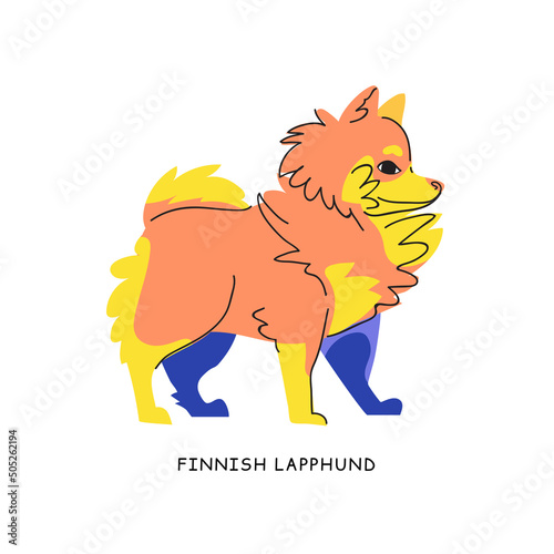 Fiinnish lapphund vector dog isolated on beige background. Bright color pet character flat illustration