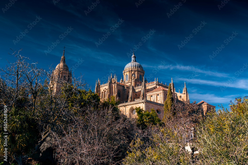 Obraz premium The New Cathedral of Salamanca, Spain