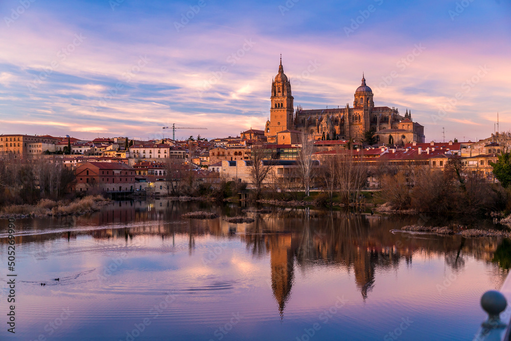 Salamanca Skyline view with the Cathedral, Spain