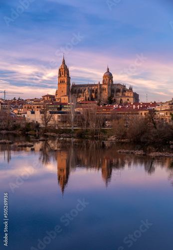 Salamanca Skyline view with the Cathedral  Spain