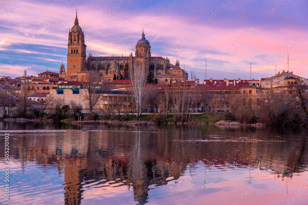 Obraz premium Salamanca Skyline view with the Cathedral, Spain