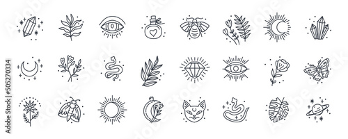 Vector witch magic design elements set. Hand drawn, lineart, sketch magician collection. Perfect for tattoo, textile, cards, mystery. Witchcraft symbols.