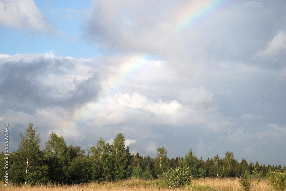 Fototapeta premium Rainbow over green forest and meadow. A beautiful curve of the natural phenomenon of a seven-color rainbow against a blue sky with white clouds. A rainbow hangs over a green forest and a meadow with y