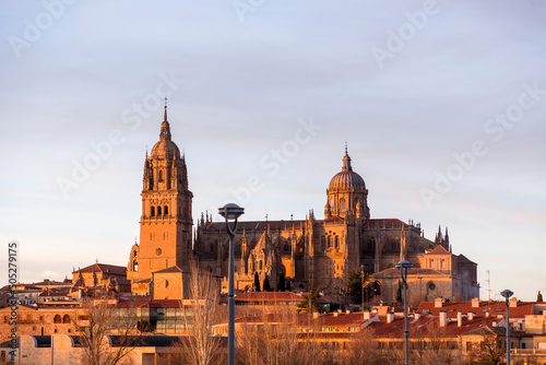 The New Cathedral of Salamanca, Spain