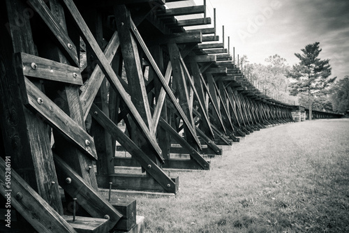 Принти на полотні Trestle and Field Black and White