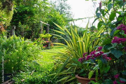 landscape garden with selective focus of yellow and green leaves foreground.