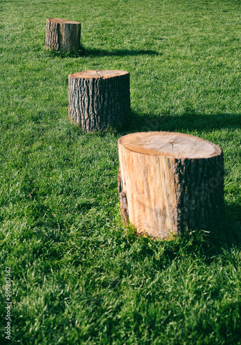 Tree logs of wood isolated on lush grass