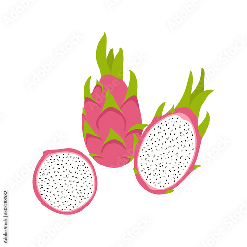 Hand drawn dragon fruit elements