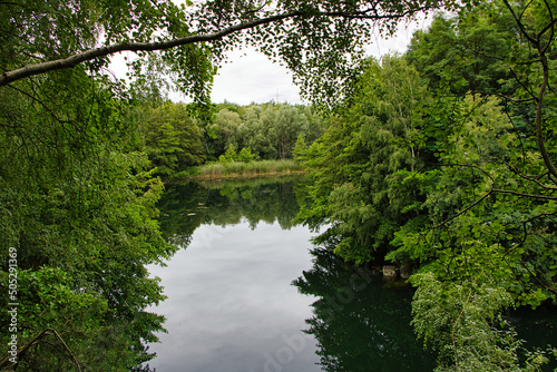 river in the forest