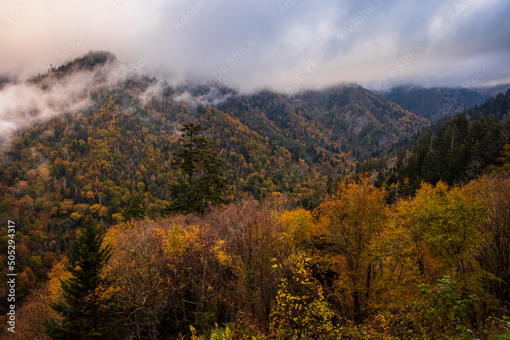 Mountains in fall color with low clouds in the Great Smoky Mountain National Park, Tennessee, USA.