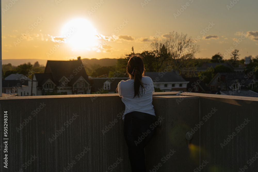 Fototapeta premium Admiring Views