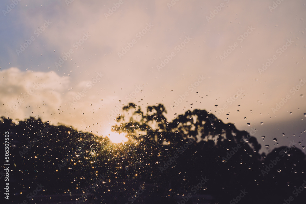 raindrops on window with out of focus sunset over the mountains with eucalyptus gum trees silhouettes in the background