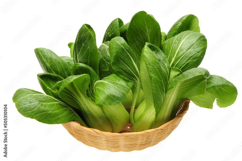 Pok Choi on white background Pok Choi on white background