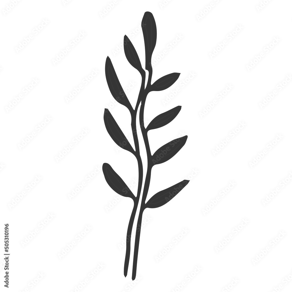 Floral plant, branch in doodle style isolated on white background. Elegant design decoration, element. Floral plant, branch in doodle style isolated on white background. Elegant design decoration, element.