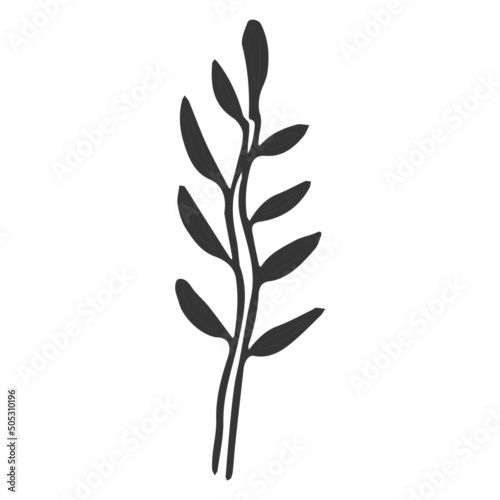Floral plant, branch in doodle style isolated on white background. Elegant design decoration, element. 