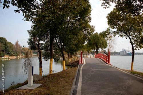 bridge in the park