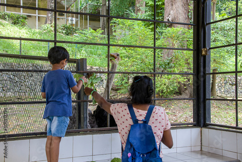 Photography Kuala Lumpur Malaysia April 27th 2022: tourist are feeding ostrich in KL bird park