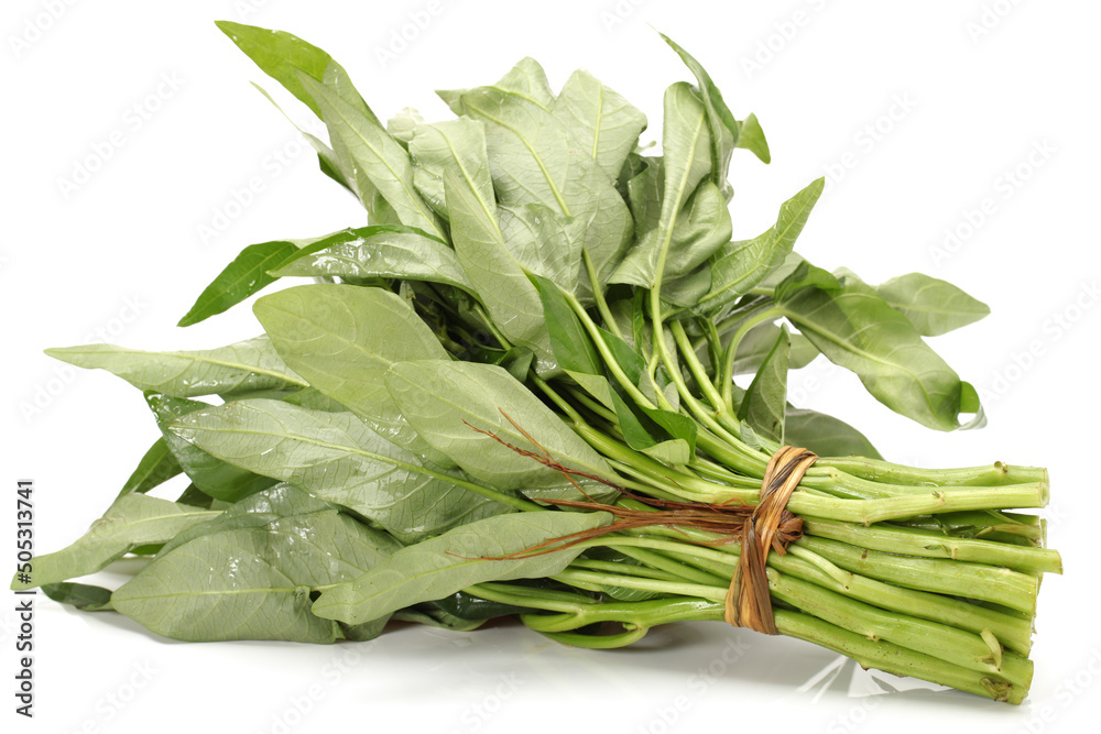 Water spinach isolated on white background