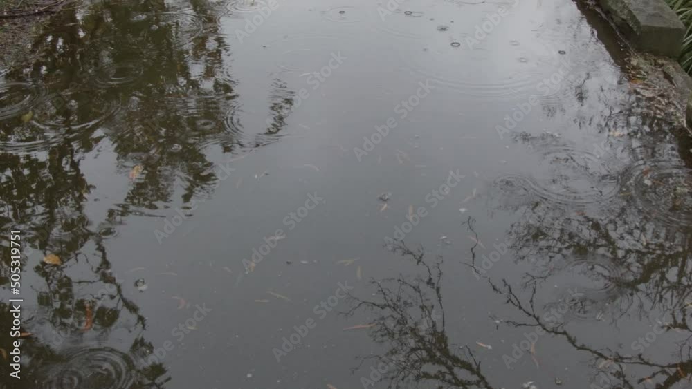 Puddle on the Footpath - Foggy day - Light Rain - Blue Mountains NSW - Moody atmosphere Puddle on the Footpath - Foggy day - Light Rain - Blue Mountains NSW - Moody atmosphere