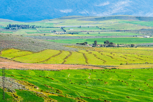 aerial view of green agricultural landscape looking over farms or farmland in Ceres, Western Cape, South Africa