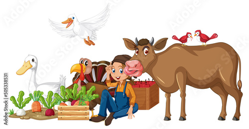 Farm animals on white background