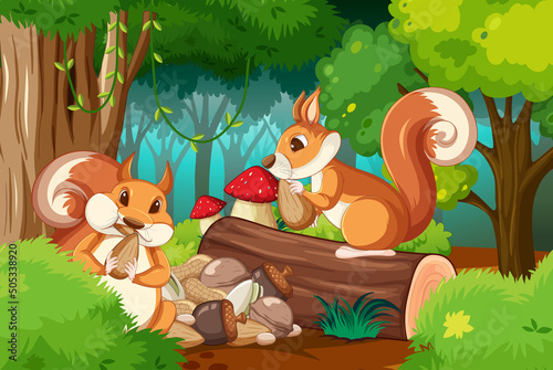 Scene with squirrels in forest