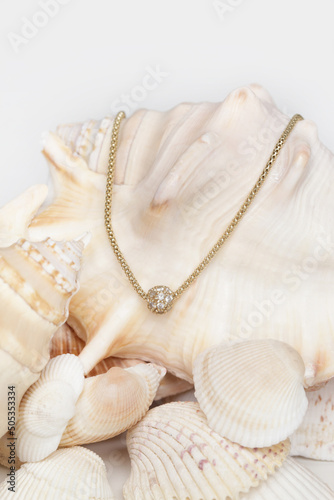 Necklase product shot. Gold necklace with round pendant on marine shell background. Jewelry fashion photography.