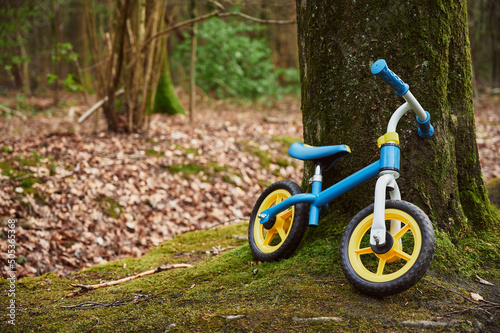 Child abused. Children's bike leaning against a tree. Small children's bike in the forest. Space for text. Velo Balance Bike