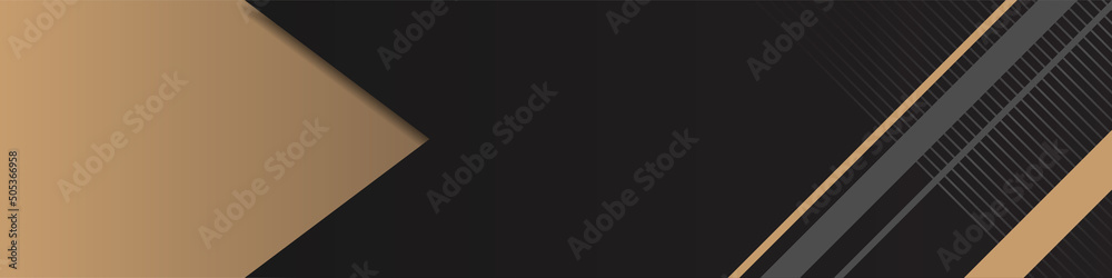modern gold and line LinkedIn banner modern gold and line LinkedIn banner