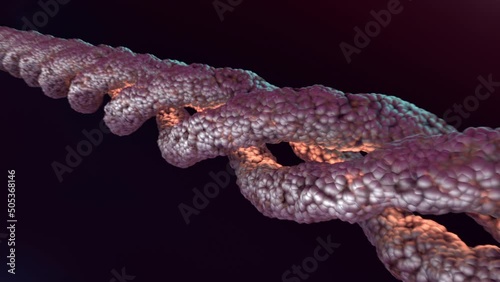 3D model of collagen fibers molecule. The triple helix of amino acids photo