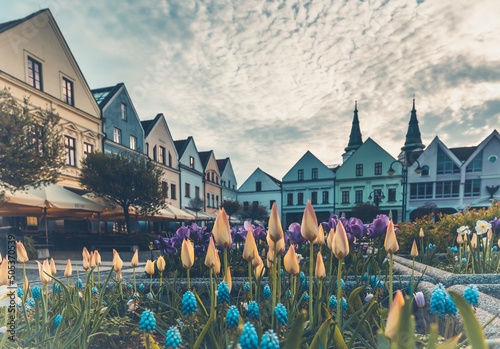 Zilina town in Europe. Architecture and urban landscape. Flower decoration.