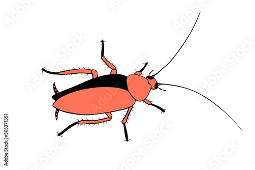 Oriental cockroach, macro of insects. Pest control. Vector outline illustration in cartoon doodle style, isolated