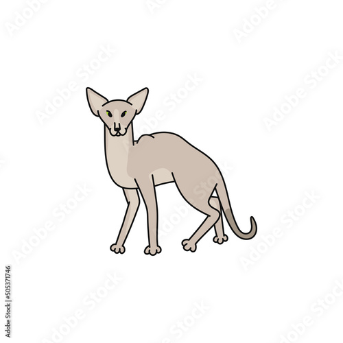 cat breed oriental shorthair contour sketch doodle illustration.
