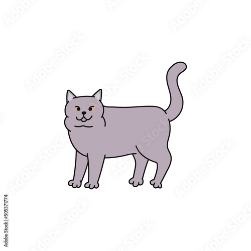 cat breed british shorthair contour sketch doodle illustration.