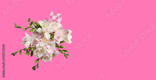 Bouquet of beautiful freesia flowers on pink background, space for text. Banner design